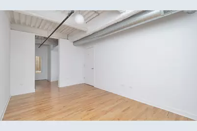 2545 S Dearborn Street #309, Chicago, IL 60616 - Photo 19