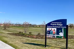 487 Vista Dr, Hampshire, IL 60140 - Photo 27