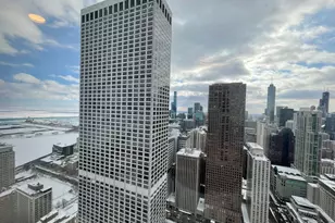 175 E Delaware Pl, Chicago, IL 60611 - Photo 9