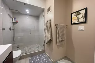 175 E Delaware Pl, Chicago, IL 60611 - Photo 19