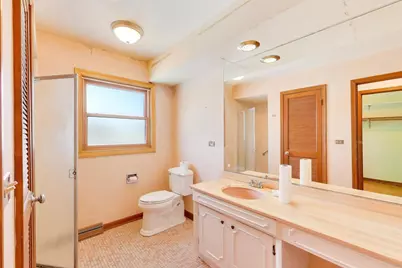 413 S Carol Lane, Mount Prospect, IL 60056 - Photo 15