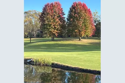 529 White Oak Lane, Lake Barrington, IL 60010 - Photo 29