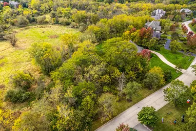 21693 N Tall Oaks Drive, Kildeer, IL 60047 - Photo 3