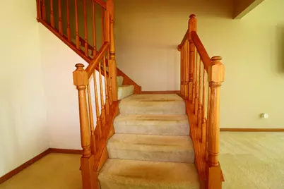18 Forest Wood Lane, Park Forest, IL 60466 - Photo 17