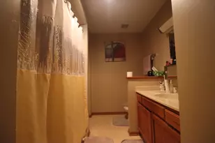 18 Forest Wood Ln, Park Forest, IL 60466 - Photo 19