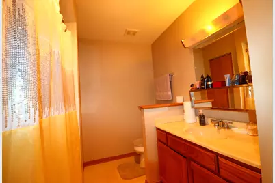 18 Forest Wood Lane, Park Forest, IL 60466 - Photo 23