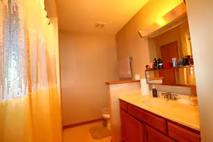 18 Forest Wood Ln, Park Forest, IL 60466 - Photo 23