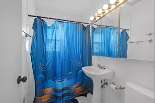 5032 Crain St, Skokie, IL 60077 - Photo 13