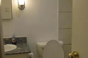 1339 N Dearborn St, Chicago, IL 60610 - Photo 11