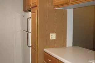 1339 N Dearborn St, Chicago, IL 60610 - Photo 5