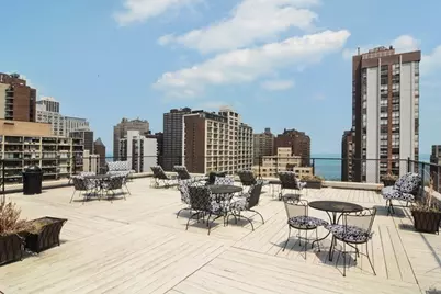 1339 N Dearborn Street #2-D, Chicago, IL 60610 - Photo 13