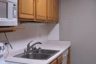 1339 N Dearborn St, Chicago, IL 60610 - Photo 3