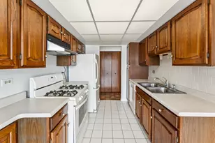 101 Old Oak Dr, Buffalo Grove, IL 60089 - Photo 9