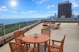 3100 N Lake Shore Dr, Chicago, IL 60657 - Photo 15
