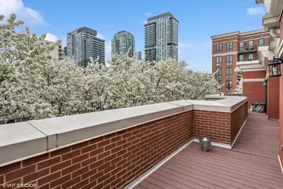 1212 N Orleans Street, Chicago, IL 60610 - Photo 21