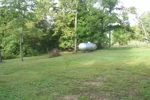 125 Central Hill Rd, Grantsburg, IL 62943 - Photo 11