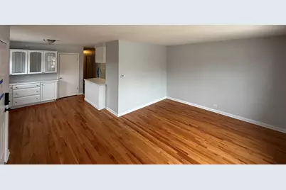 1308 W 108th Place, Chicago, IL 60643 - Photo 3