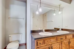 8732 W Surrey Park, Palos Hills, IL 60465 - Photo 21