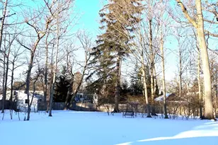 544 Ravine Ave, Lake Bluff, IL 60044 - Photo 29