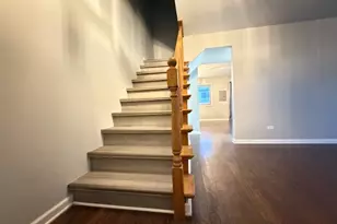 19 Wood Sorrel Pl, Woodridge, IL 60517 - Photo 11