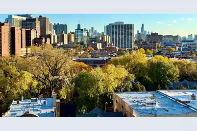 555 W Cornelia Avenue #1204, Chicago, IL 60657 - Photo 7