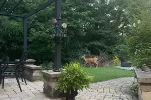 1214 Woodland Ct, Joliet, IL 60436 - Photo 21