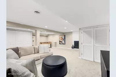 742 W Chestnut Street, Hinsdale, IL 60521 - Photo 19