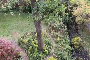 [Address not provided], Chicago, IL 60637 - Photo 3