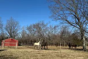 4996 Andrew Rd, Marion, IL 62959 - Photo 79