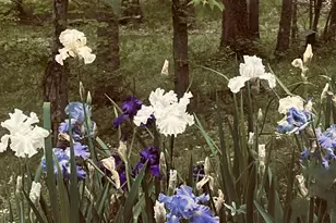 4996 Andrew Rd, Marion, IL 62959 - Photo 77