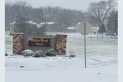 3246 E Forestview Trail, Crete, IL 60417 - Photo 13