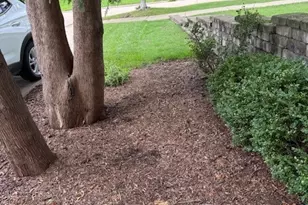 425 S Quincy Ave, Hinsdale, IL 60521 - Photo 49