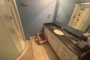 48 S Country Squire Rd, Palos Heights, IL 60463 - Photo 15