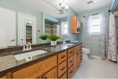 22646 Lawndale Avenue, Richton Park, IL 60471 - Photo 13