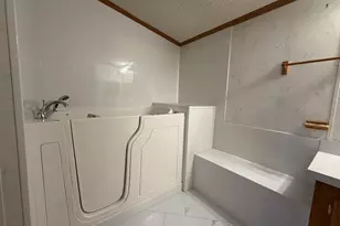 2105 County Road 900, Champaign, IL 61822 - Photo 29