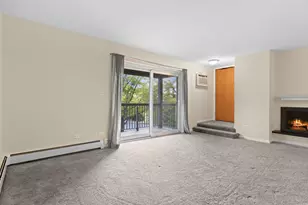 751 S Dwyer Ave, Arlington Heights, IL 60005 - Photo 11