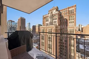 33 E Cedar St, Chicago, IL 60611 - Photo 13