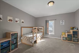 149 N May St, Hinckley, IL 60520 - Photo 19