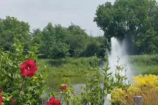 [Address not provided], Frankfort, IL 60423 - Photo 45