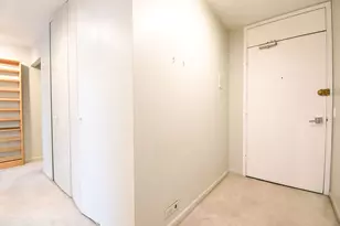 1560 N Sandburg Terrace, Chicago, IL 60610 - Photo 33