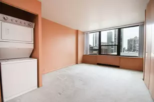 1560 N Sandburg Terrace, Chicago, IL 60610 - Photo 27