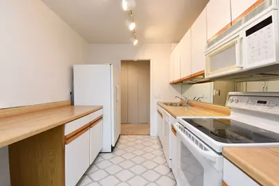 1560 N Sandburg Terrace #802J, Chicago, IL 60610 - Photo 17