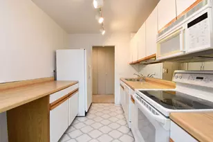 1560 N Sandburg Terrace, Chicago, IL 60610 - Photo 17