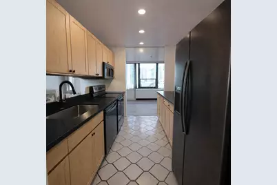 1560 N Sandburg Terrace #802J, Chicago, IL 60610 - Photo 19