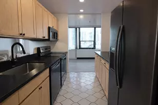 1560 N Sandburg Terrace, Chicago, IL 60610 - Photo 19