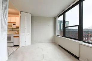 1560 N Sandburg Terrace, Chicago, IL 60610 - Photo 13