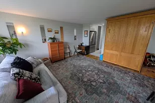 601 E 32nd St, Chicago, IL 60616 - Photo 9