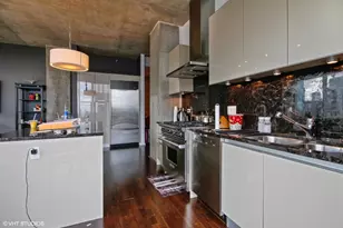 600 N Fairbanks Ct, Chicago, IL 60611 - Photo 3