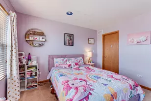 311 Austin Dr, Shorewood, IL 60404 - Photo 23