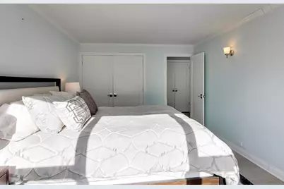 40 E Cedar Street #18B, Chicago, IL 60611 - Photo 15